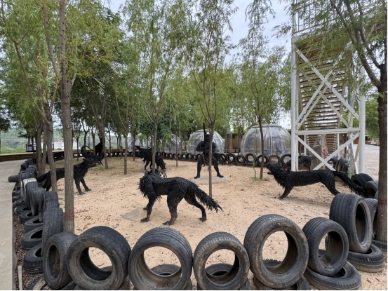 走遍中国·榆林艺术小镇采风：艺术重构黄土高原