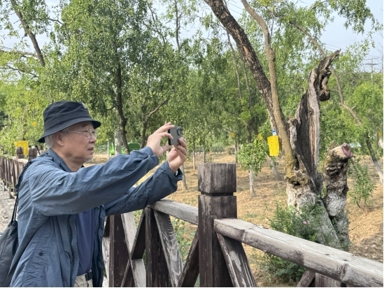 走遍中国·榆林艺术小镇采风：艺术重构黄土高原